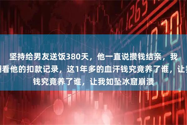 坚持给男友送饭380天，他一直说攒钱结亲，我很感动，那天翻看他的扣款记录，这1年多的血汗钱究竟养了谁，让我如坠冰窟崩溃