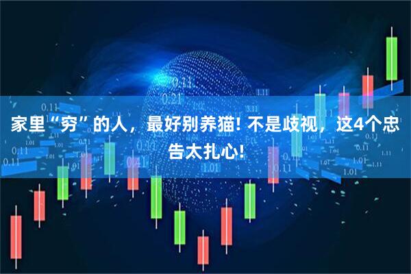 家里“穷”的人，最好别养猫! 不是歧视，这4个忠告太扎心!