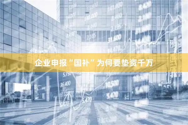 企业申报“国补”为何要垫资千万