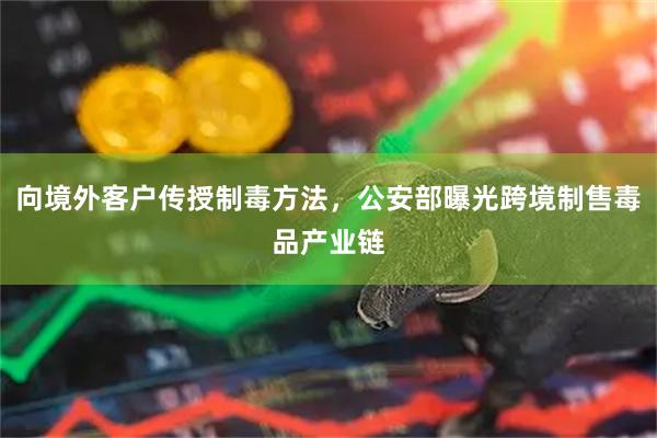 向境外客户传授制毒方法，公安部曝光跨境制售毒品产业链