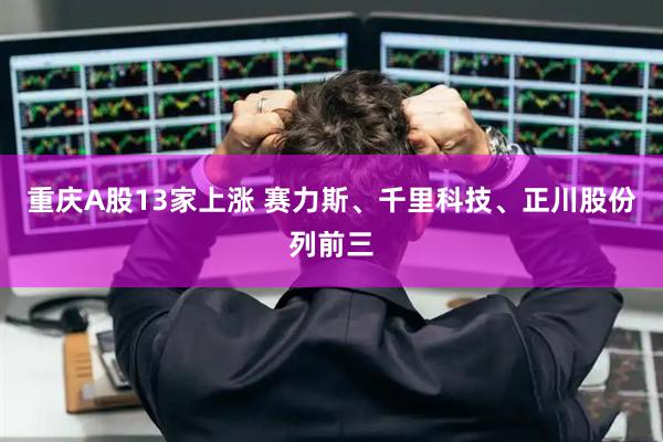 重庆A股13家上涨 赛力斯、千里科技、正川股份列前三